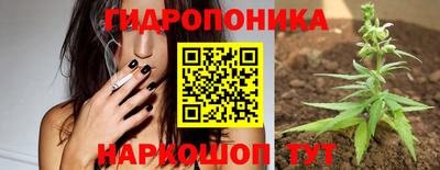 стафф Лесосибирск