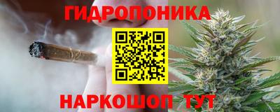 стафф Лесосибирск