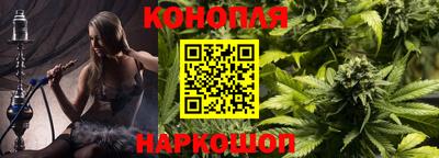 стафф Лесосибирск