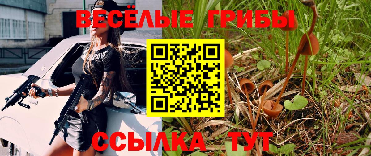 Псилоцибиновые грибы GOLDEN TEACHER  Галлюциногенные грибы Psilocybine cubensis  Вход с VPN  Дзержинск 